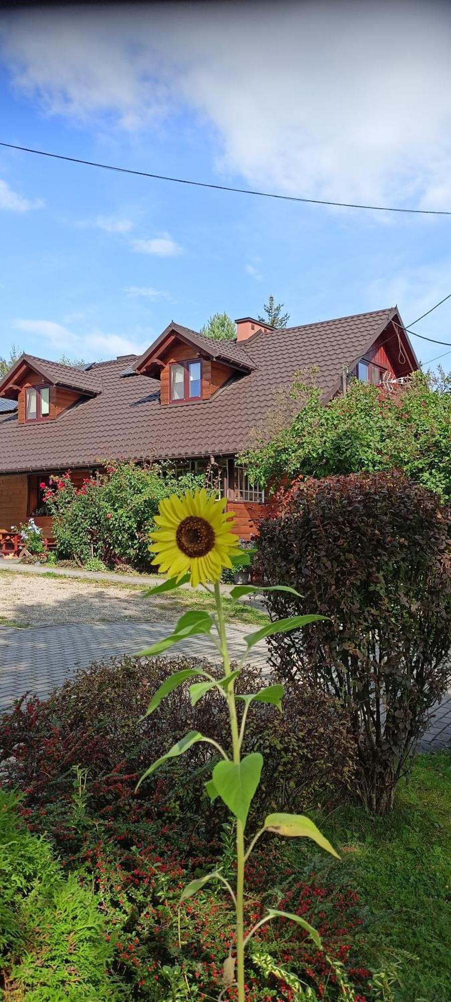 Apartamento Mroczkówka Debowiec  Exterior foto